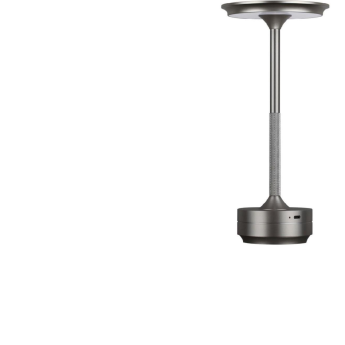 Настольная лампа ODEON LIGHT TET-A-TET 5035/6TL